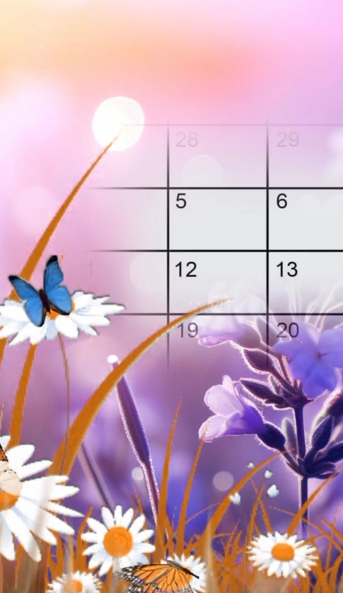 Butterfly Theme E-Video Invite