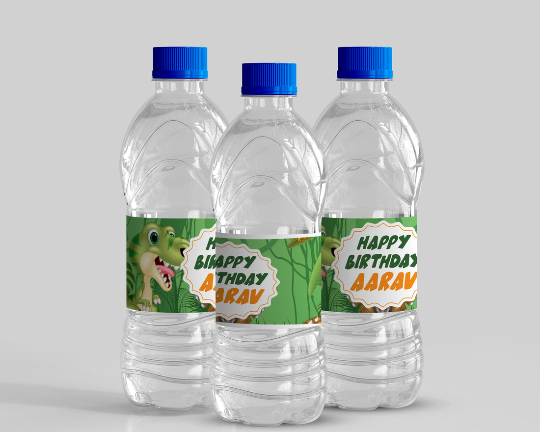 Dinosaur Theme Water Bottle Sticker